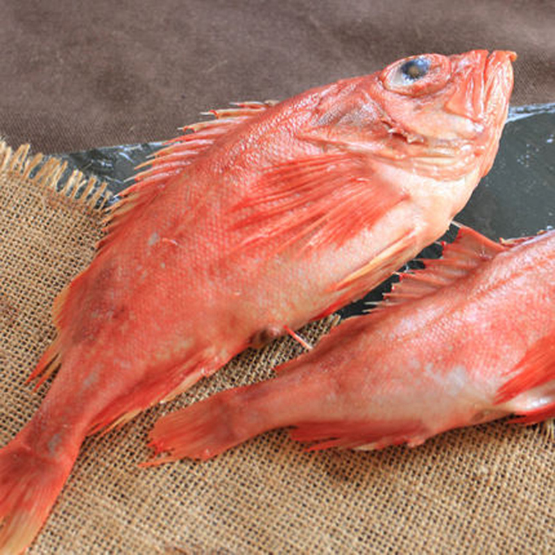 红石斑鱼鲜活冷冻整条海鱼大龙胆鱼富贵鱼深海鱼海鲜水产红鱼